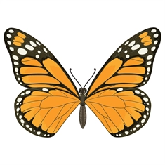 Butterfly Theme Orange And Black Butterfly Transparent Sticker